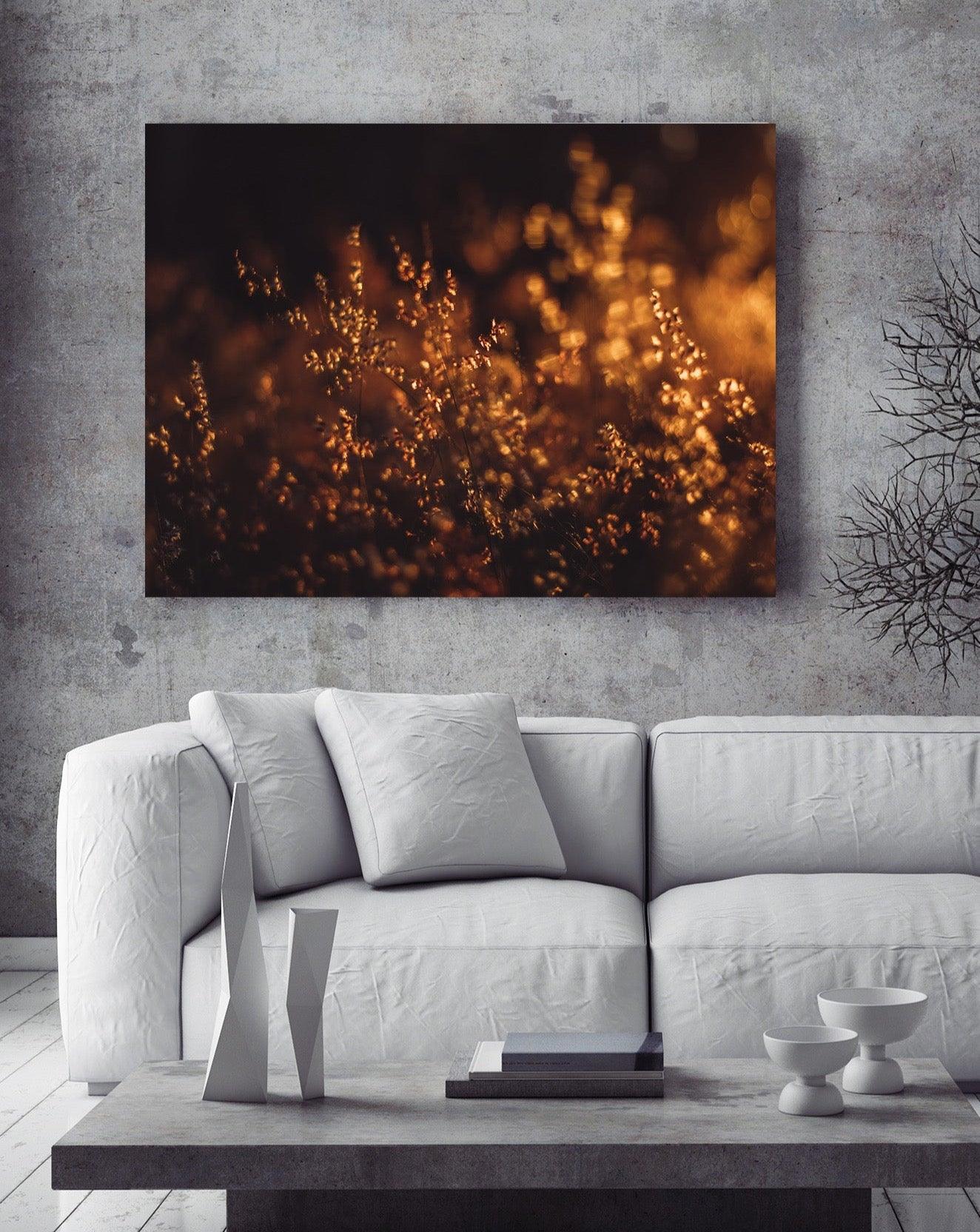 Sunset Meadow Fine Art Giclée Nature Photography Wall Art by Magdalene Marx