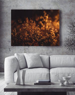 Load image into Gallery viewer, Sunset Meadow Fine Art Giclée Nature Photography Wall Art by Magdalene Marx
