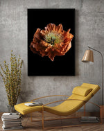 Load image into Gallery viewer, Fine Art Nature Wall Art Photography By Magdalene Marx
