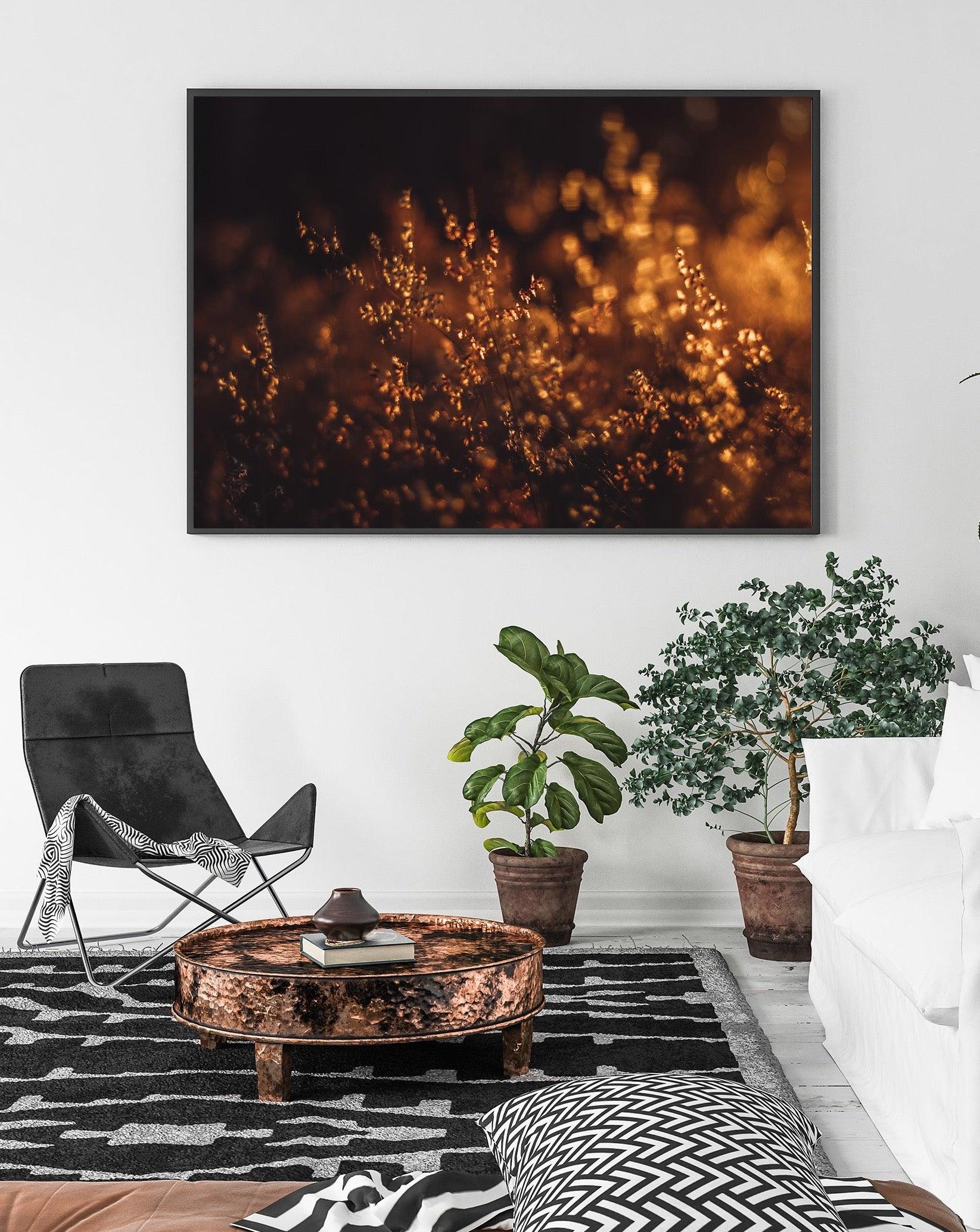 Sunset Meadow Fine Art Giclée Nature Photography Wall Art by Magdalene Marx
