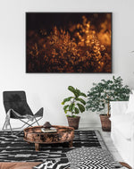 Load image into Gallery viewer, Sunset Meadow Fine Art Giclée Nature Photography Wall Art by Magdalene Marx
