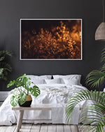 Load image into Gallery viewer, Sunset Meadow Fine Art Giclée Nature Photography Wall Art by Magdalene Marx
