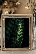 Load image into Gallery viewer, &quot;A Fern By Light&quot; (8&quot; x 10&quot; Fine Art Giclée Print) - A Bohemia Life
