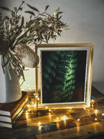 Load image into Gallery viewer, &quot;A Fern By Light&quot; (8&quot; x 10&quot; Fine Art Giclée Print) - A Bohemia Life
