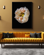 Load image into Gallery viewer, Concave - A Bohemia Life
