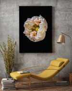 Load image into Gallery viewer, Concave - A Bohemia Life
