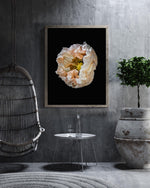 Load image into Gallery viewer, Concave - A Bohemia Life
