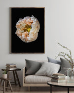 Load image into Gallery viewer, Concave - A Bohemia Life
