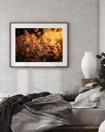 Load image into Gallery viewer, Dusk - A Bohemia Life
