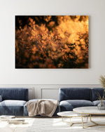 Load image into Gallery viewer, Dusk - A Bohemia Life
