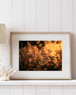 Load image into Gallery viewer, Dusk - A Bohemia Life
