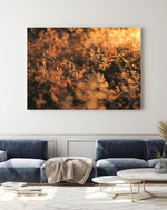 Load image into Gallery viewer, Golden Meadow - A Bohemia Life
