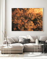 Load image into Gallery viewer, Golden Meadow - A Bohemia Life
