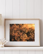 Load image into Gallery viewer, Golden Meadow - A Bohemia Life

