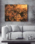 Load image into Gallery viewer, Golden Meadow - A Bohemia Life
