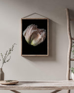 Load image into Gallery viewer, Grace - A Bohemia Life
