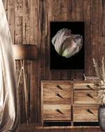 Load image into Gallery viewer, Grace - A Bohemia Life
