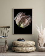 Load image into Gallery viewer, Grace - A Bohemia Life
