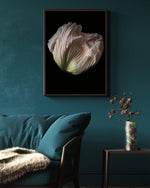 Load image into Gallery viewer, Grace - A Bohemia Life
