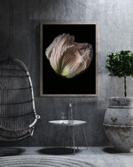 Load image into Gallery viewer, Grace - A Bohemia Life
