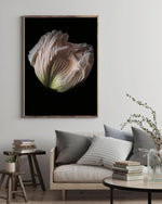 Load image into Gallery viewer, Grace - A Bohemia Life
