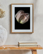 Load image into Gallery viewer, Grace - A Bohemia Life
