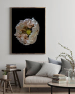 Load image into Gallery viewer, Hollow - A Bohemia Life
