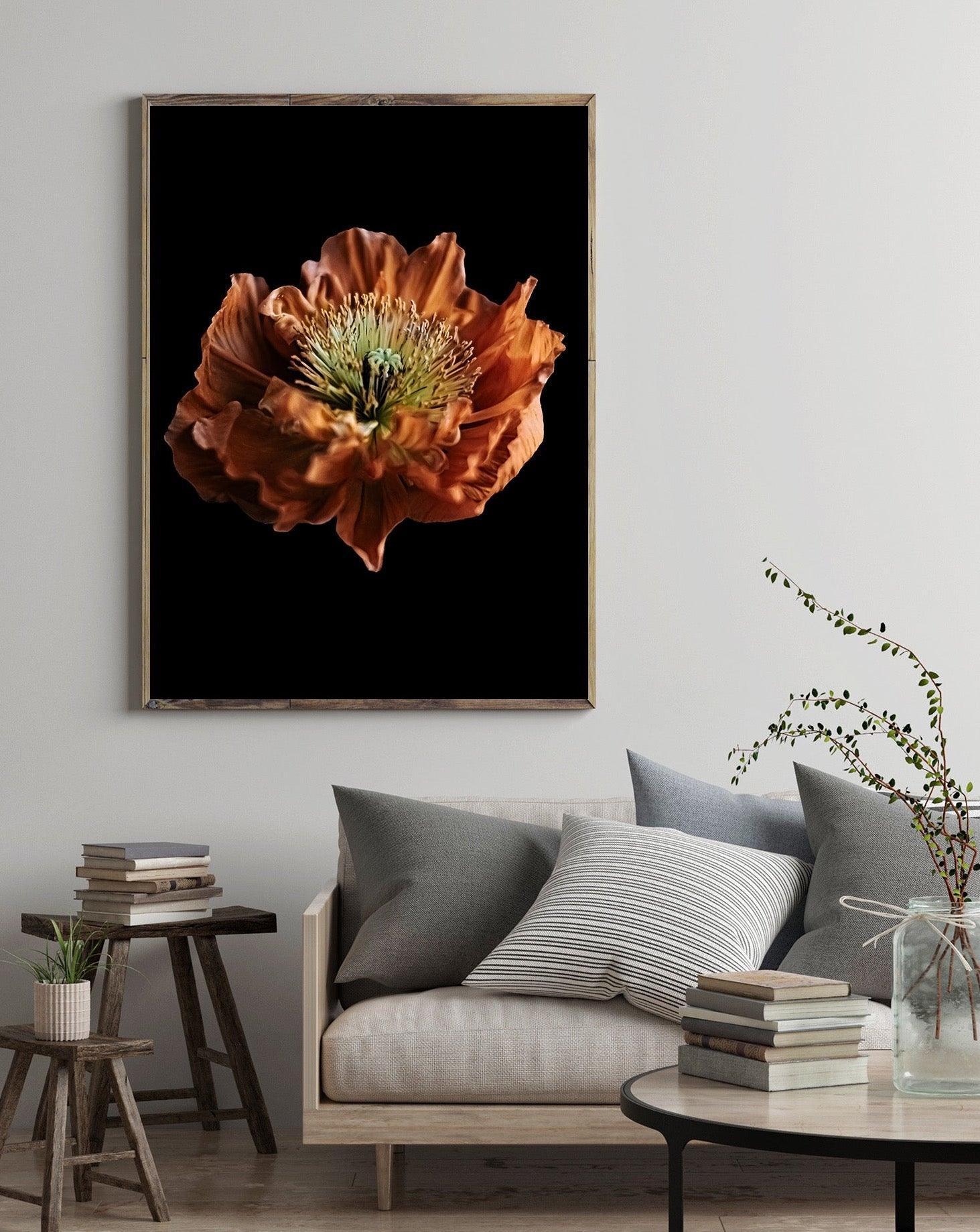 Fine Art Giclée Nature Photography Wall Art by Magdalene Marx