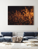 Load image into Gallery viewer, Twilight Hour - A Bohemia Life

