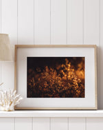 Load image into Gallery viewer, Twilight Hour - A Bohemia Life
