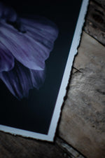 Load image into Gallery viewer, &quot;Violet In Motion&quot; (8&quot; X 10&quot; Fine Art Giclée Print) - A Bohemia Life
