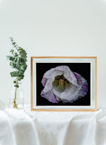 Load image into Gallery viewer, Violet In Motion” (8″ X 10″ Fine Art Giclée Print) - A Bohemia Life
