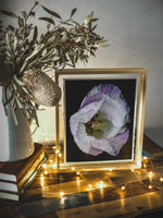 Load image into Gallery viewer, Violet In Motion” (8″ X 10″ Fine Art Giclée Print) - A Bohemia Life
