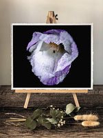 Load image into Gallery viewer, Violet In Motion” (8″ X 10″ Fine Art Giclée Print) - A Bohemia Life
