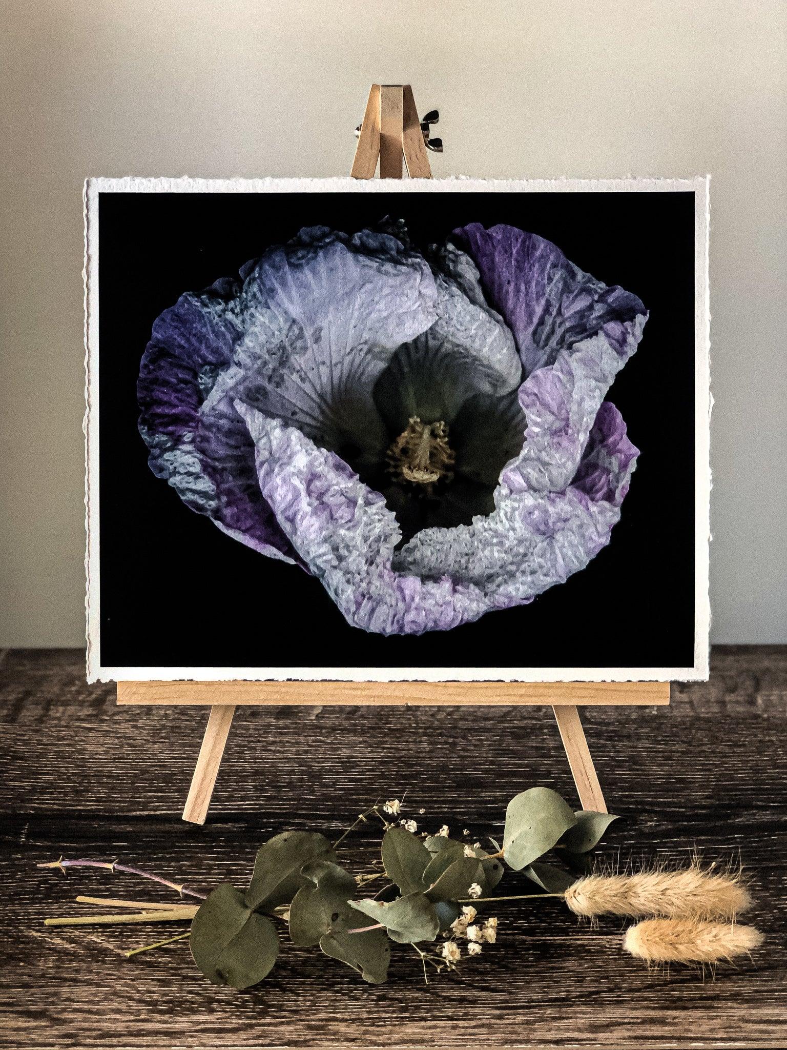 Violet In Motion” (8″ X 10″ Fine Art Giclée Print) - A Bohemia Life