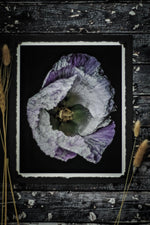 Load image into Gallery viewer, Violet In Motion” (8″ X 10″ Fine Art Giclée Print) - A Bohemia Life
