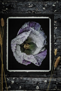 Violet In Motion” (8″ X 10″ Fine Art Giclée Print) - A Bohemia Life