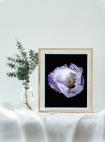 Load image into Gallery viewer, Violet In Motion” (8″ X 10″ Fine Art Giclée Print) - A Bohemia Life
