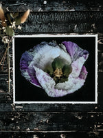 Load image into Gallery viewer, Violet In Motion” (8″ X 10″ Fine Art Giclée Print) - A Bohemia Life
