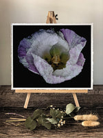 Load image into Gallery viewer, Violet In Motion” (8″ X 10″ Fine Art Giclée Print) - A Bohemia Life
