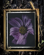 Load image into Gallery viewer, &quot;Violet In Motion&quot; (8&quot; X 10&quot; Fine Art Giclée Print) - A Bohemia Life
