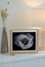 Load image into Gallery viewer, Violet In Motion” (8″ X 10″ Fine Art Giclée Print) - A Bohemia Life
