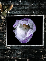 Load image into Gallery viewer, Violet In Motion” (8″ X 10″ Fine Art Giclée Print) - A Bohemia Life
