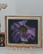 Load image into Gallery viewer, &quot;Violet In Motion&quot; (8&quot; X 10&quot; Fine Art Giclée Print) - A Bohemia Life
