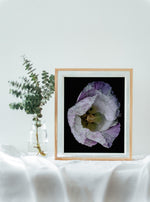 Load image into Gallery viewer, Violet In Motion” (8″ X 10″ Fine Art Giclée Print) - A Bohemia Life
