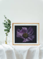 Load image into Gallery viewer, &quot;Violet In Motion&quot; (8&quot; X 10&quot; Fine Art Giclée Print) - A Bohemia Life
