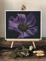 Load image into Gallery viewer, &quot;Violet In Motion&quot; (8&quot; X 10&quot; Fine Art Giclée Print) - A Bohemia Life
