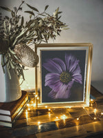 Load image into Gallery viewer, &quot;Violet In Motion&quot; (8&quot; X 10&quot; Fine Art Giclée Print) - A Bohemia Life
