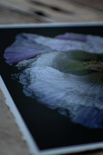 Load image into Gallery viewer, Violet Waves Upon A Violent Shore (8&quot;x10&quot; Gicleé Print) - A Bohemia Life
