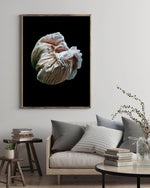Load image into Gallery viewer, Volute - A Bohemia Life
